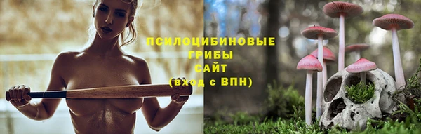 марки nbome Алзамай