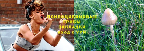 спиды Алексеевка