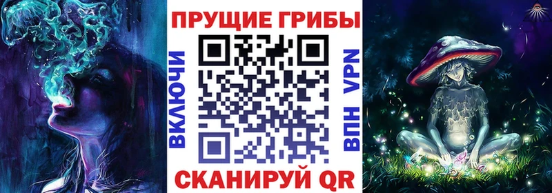 наркотики  это наркотические препараты  Галлюциногенные грибы Psilocybe  Нолинск 